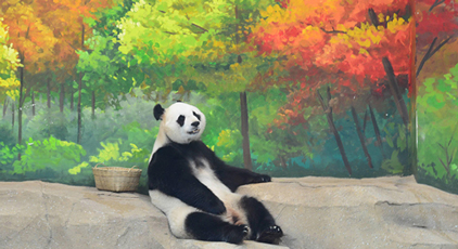 北京動物園大熊貓新館對公眾開放