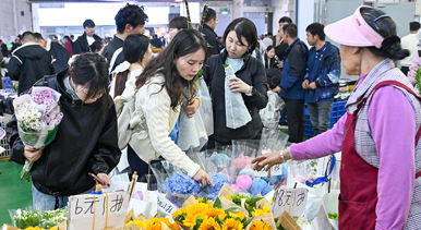 云南昆明：斗南花市人气旺
