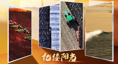 亿缕阳光·乡见｜沃野千里