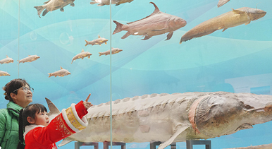 重庆：博物馆里度假期