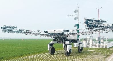 抢春分 抓田管 越关口