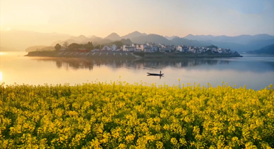 油菜花与古村同框美若画卷