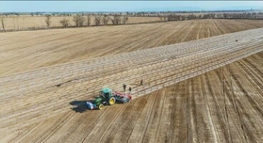 棉花开播 北斗“掌舵”