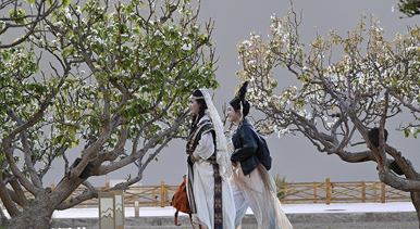 甘肃敦煌：春到大漠