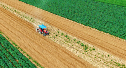 河南南阳：谷雨春耕图