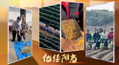 亿缕阳光·乡见｜农活也能如此简单