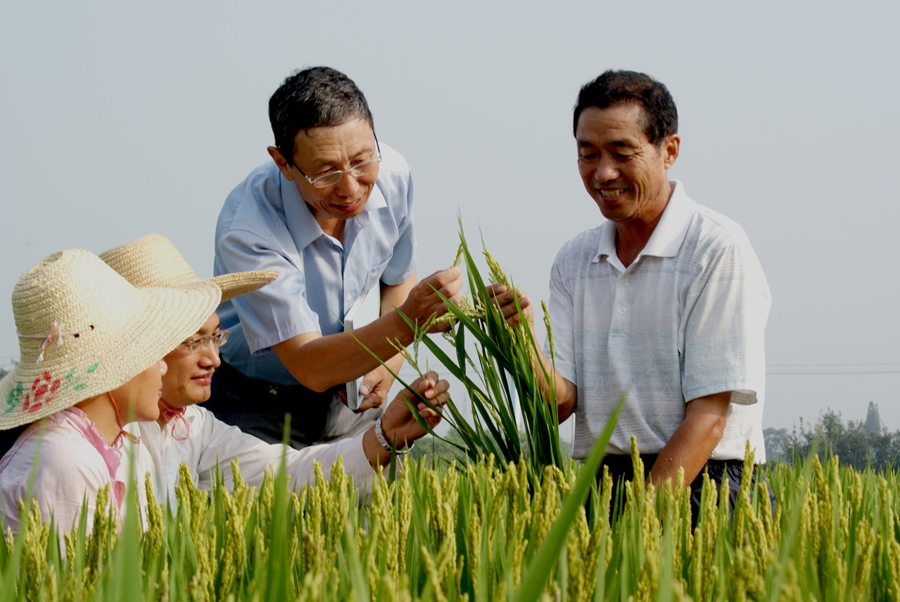 鈕中一（右二）在田間指導弟子育種。受訪者供圖