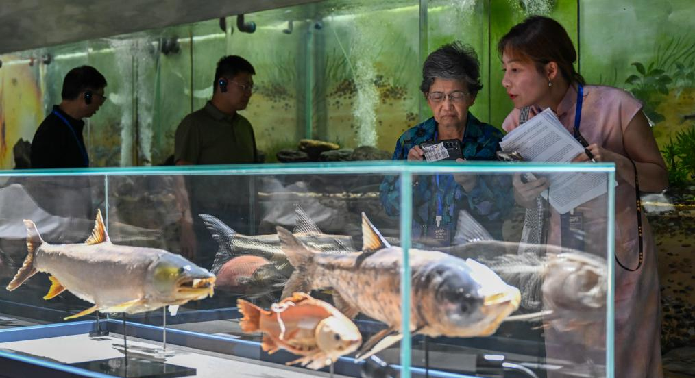 多国代表参访湖北