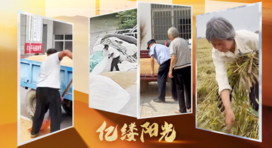 亿缕阳光·乡见|粒粒皆辛苦