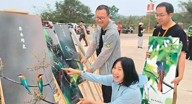 记录南滚河谷的——象与象节