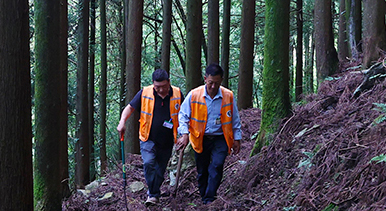 重庆：巡山护林严防火