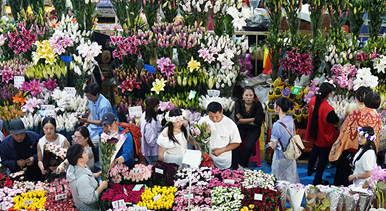 云南昆明：斗南花卉市场人气旺