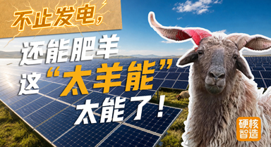 这“太羊能”太能了！