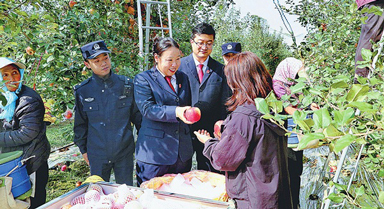 送法进果园