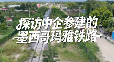 探访中企参建的墨西哥玛雅铁路