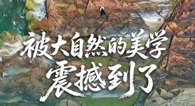 被大自然的美学震撼到了