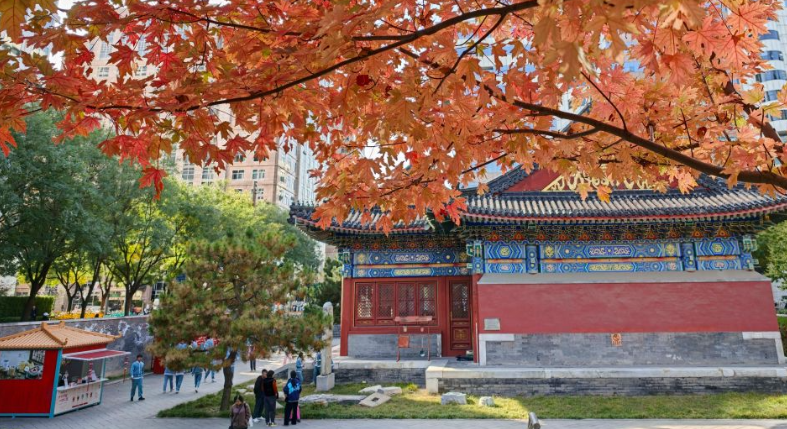 北京秋渐浓
